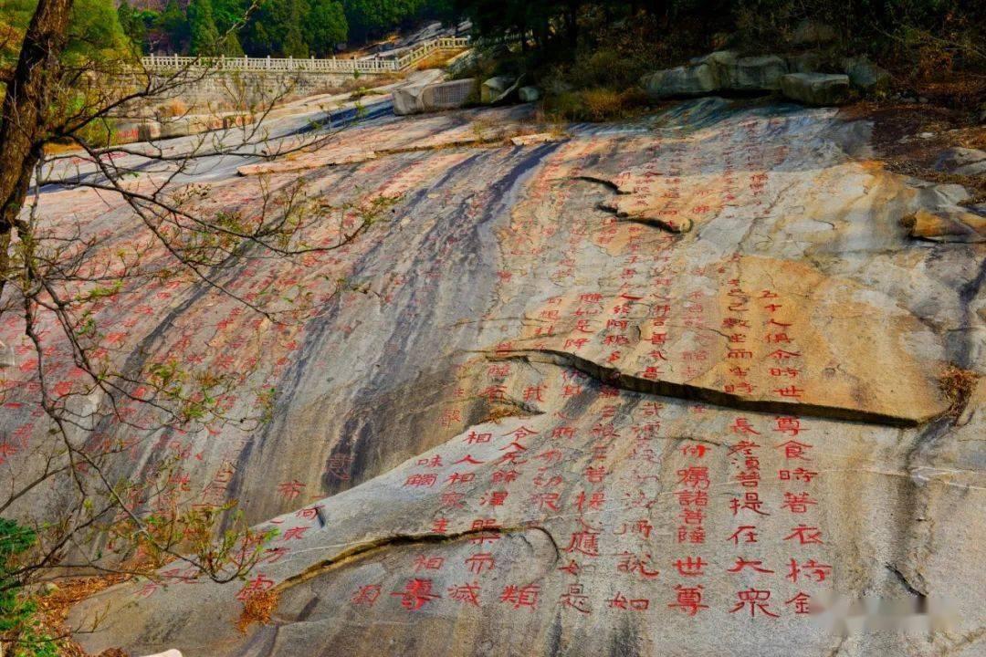 “男朋友送我礼物是假货,我应该怎么办?-有问必答平台,解答您的疑问”
